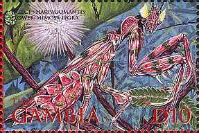 Gambia 2003