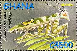 Ghana 2002