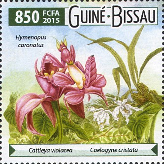 Guinea Bissau 2015