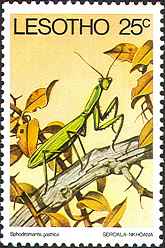 Lesotho 1978