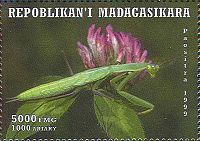 Madagaskar 1999