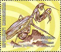 Madagaskar 2001