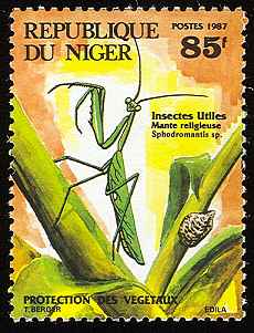 Niger 2000