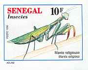 Senegal 1996
