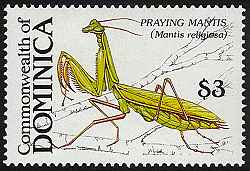 Dominica 1988