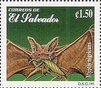 El Salvador 1999