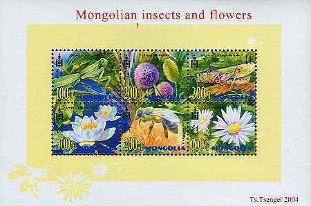 Mongolei 2004