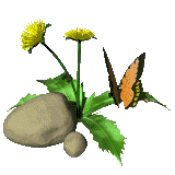Blume